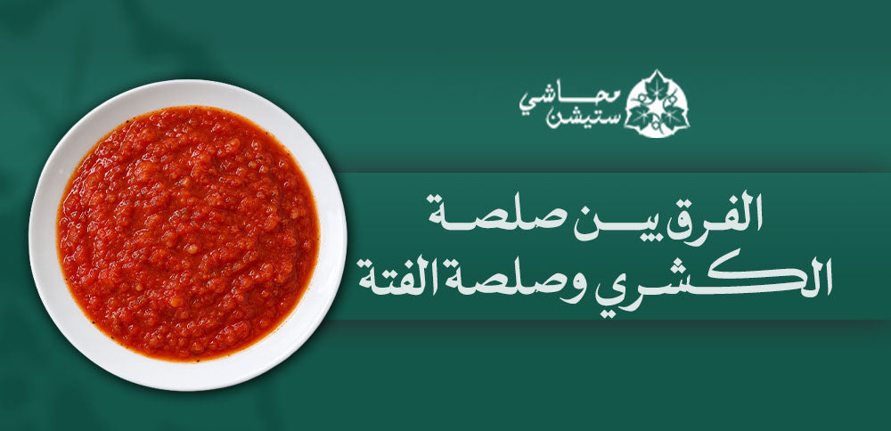 الفرق بين صلصة الكشري وصلصة الفتة